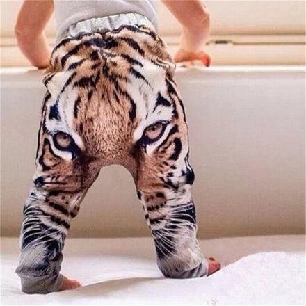 Tiger Baby Pants